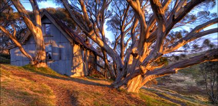 Cope Hut - VIC T (PBH3 00 34387)